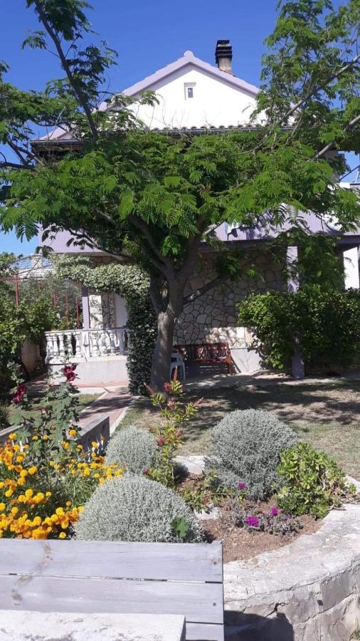 ביבינייה Apartments Venci מראה חיצוני תמונה